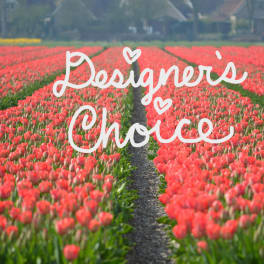 Designer's Choice #3