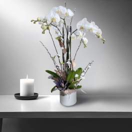 White orchid arrangement in a white vase beside a lit candle