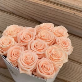 Peach roses arranged in a white box with a ribbon bow