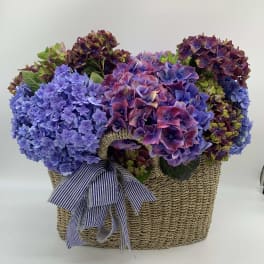 Hydrangea arrangement in a woven basket with a striped ribbon