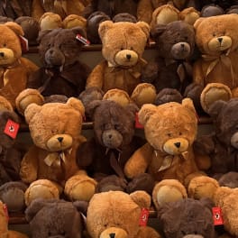 Rows of brown and tan teddy bears with ribbon bows