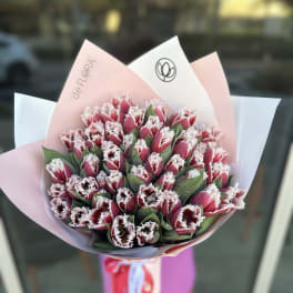 Bouquet of pink fringed tulips wrapped in pastel paper