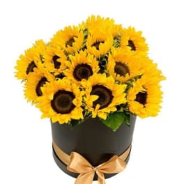 Bouquet of yellow sunflowers in a black hatbox with a gold ribbon