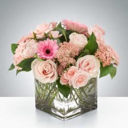Low pink and blush rose arrangement with a pink gerbera daisy in a clear glass cube vase