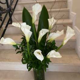 Elegance at its Best with Callas