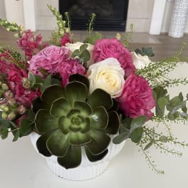 Pink and white roses arranged in a white vase with a large succulent accent