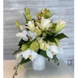 White orchids and lilies arranged in a white vase