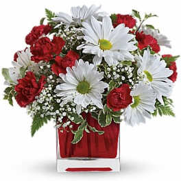 Red carnations and white daisies in a clear square vase