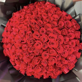 Large bouquet of red roses wrapped in dark paper
