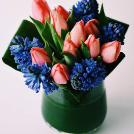 Compact arrangement of pink tulips and blue hyacinths in a glass cylinder vase wrapped with green leaves