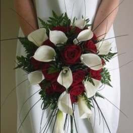 Red roses and white calla lilies in a cascading bouquet