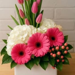 Pink Tulip and Gerbera elegance . Flower Delivery San Antonio