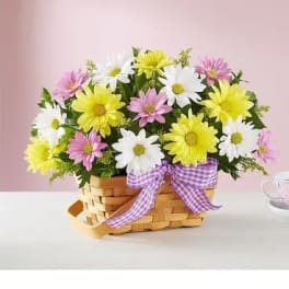 Basket of pink, white, and yellow daisies with a purple ribbon