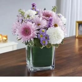Pink and white daisy bouquet in a square glass vase