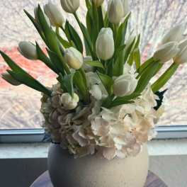 White Tulip & Hydrangea Arrangement – San Antonio