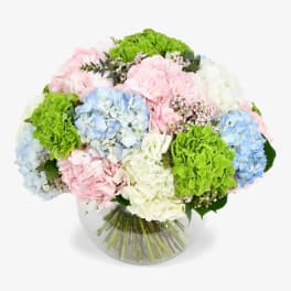 Sweet Hydrangea Bouquet