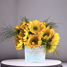 Sunflower arrangement in a white wooden box