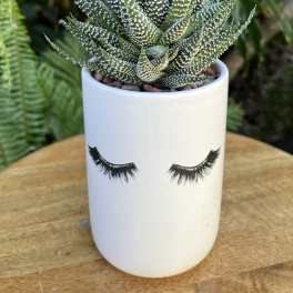 Potted succulent in a white ceramic planter with eyelash design