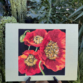 Framed artwork of three red poppies on a dark background