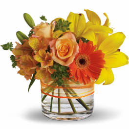 Low glass vase of yellow lilies, peach roses, orange gerbera daisy and alstroemeria with striped ribbon.
