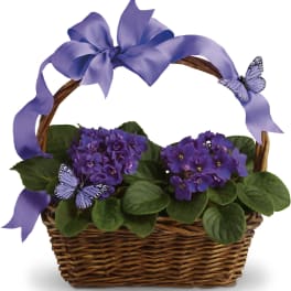 Purple flowering plants in a wicker basket with a lavender bow and butterfly accents