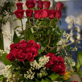 Red roses arranged in a white vase with white filler flowers