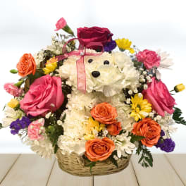 Basket arrangement with a teddy bear made of white flowers and colorful roses