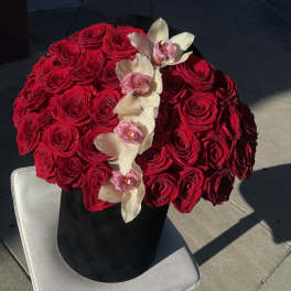 Red rose arrangement with white orchids in a black hatbox