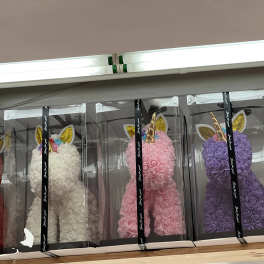 Four boxed unicorn-shaped rose arrangements in white, pink, purple, and red