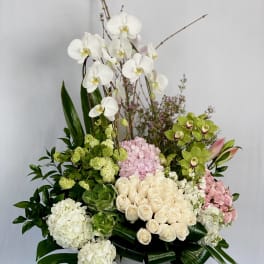 Large arrangement of white orchids, cream roses, and pink hydrangeas in a vase