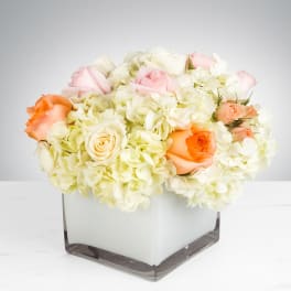 Low arrangement of white hydrangeas with peach and pink roses in a white square glass vase
