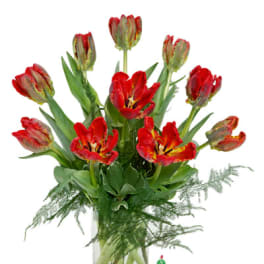 Tall arrangement of red parrot tulips in a clear glass vase with airy filler at the base
