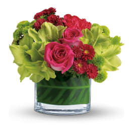Bright pink and red flowers with green blooms in a low clear glass cylinder vase