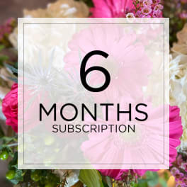Graphic for a six-month flower subscription over a pink floral bouquet background