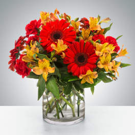 Bright red gerbera daisies, red carnations, and yellow alstroemeria in a clear glass vase