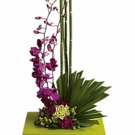 Purple orchid arrangement with tall bamboo and fan-shaped leaves in a green container