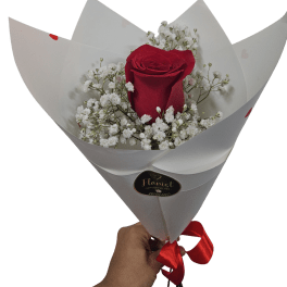 Single red rose bouquet with white filler flowers wrapped in white paper and tied with a red ribbon.