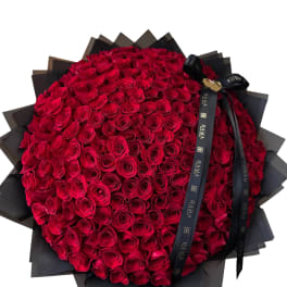 Large bouquet of red roses wrapped in black paper with a ribbon