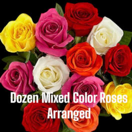 Dozen mixed-color roses arranged together on a black background