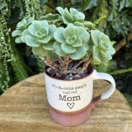 Potted succulent in a mug with "Mom" text