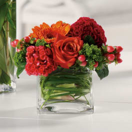 Low square vase arrangement with red and orange flowers and red berries
