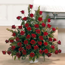 Large Red Rose Grandeur Tribute