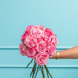 Handheld bouquet of pink and white roses against a blue background