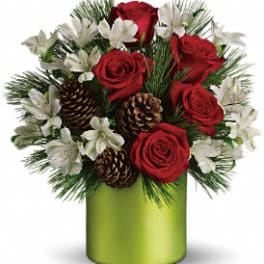 Teleflora's Christmas Cheer Bouquet