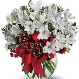 White flowers in a glass vase with pinecones and a red ribbon