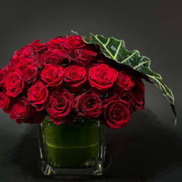 Red roses arranged in a square glass vase with a large dark green leaf