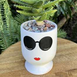 Potted succulent in a white face planter with sunglasses and red lips