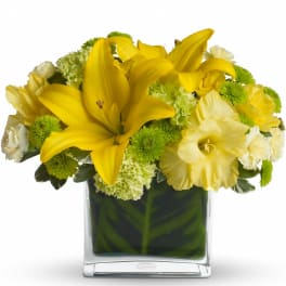 Short yellow and white lily and carnation arrangement in a clear glass cube vase