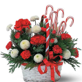 Candy Cane Basket