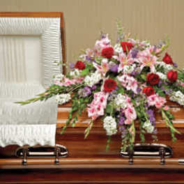 Perfect Pastoral Casket Spray (DL)